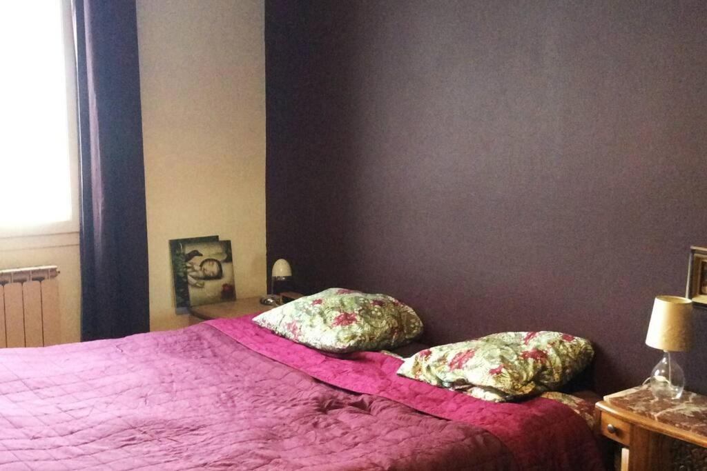 Appartement Appt 90 M2, Quartier Tranquille à Grenoble Extérieur photo